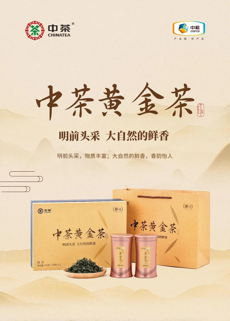 中茶黃金茶：明前頭采，大自然的鮮香