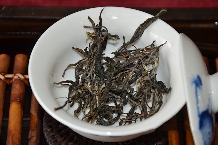 普洱茶芽頭“越多越好”嗎？