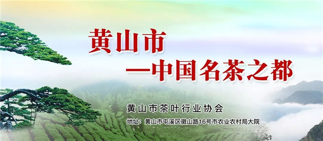 黃山新明鄉(xiāng)：助力產(chǎn)業(yè)提升 促進茶農(nóng)增收