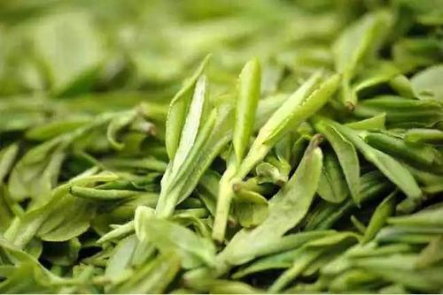 杭州擬為保護(hù)西湖龍井茶立法，違規(guī)使用專用標(biāo)識(shí)最高罰五萬