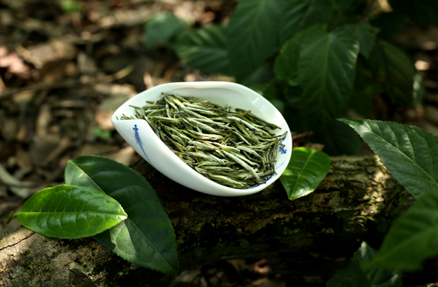 重慶一茶企聯(lián)合浪潮質(zhì)量碼探尋茶葉數(shù)字化