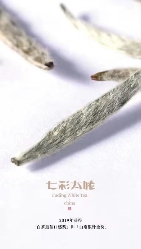 福鼎白茶企業(yè)賞析：福鼎七彩太姥生態(tài)農(nóng)業(yè)發(fā)展有限公司