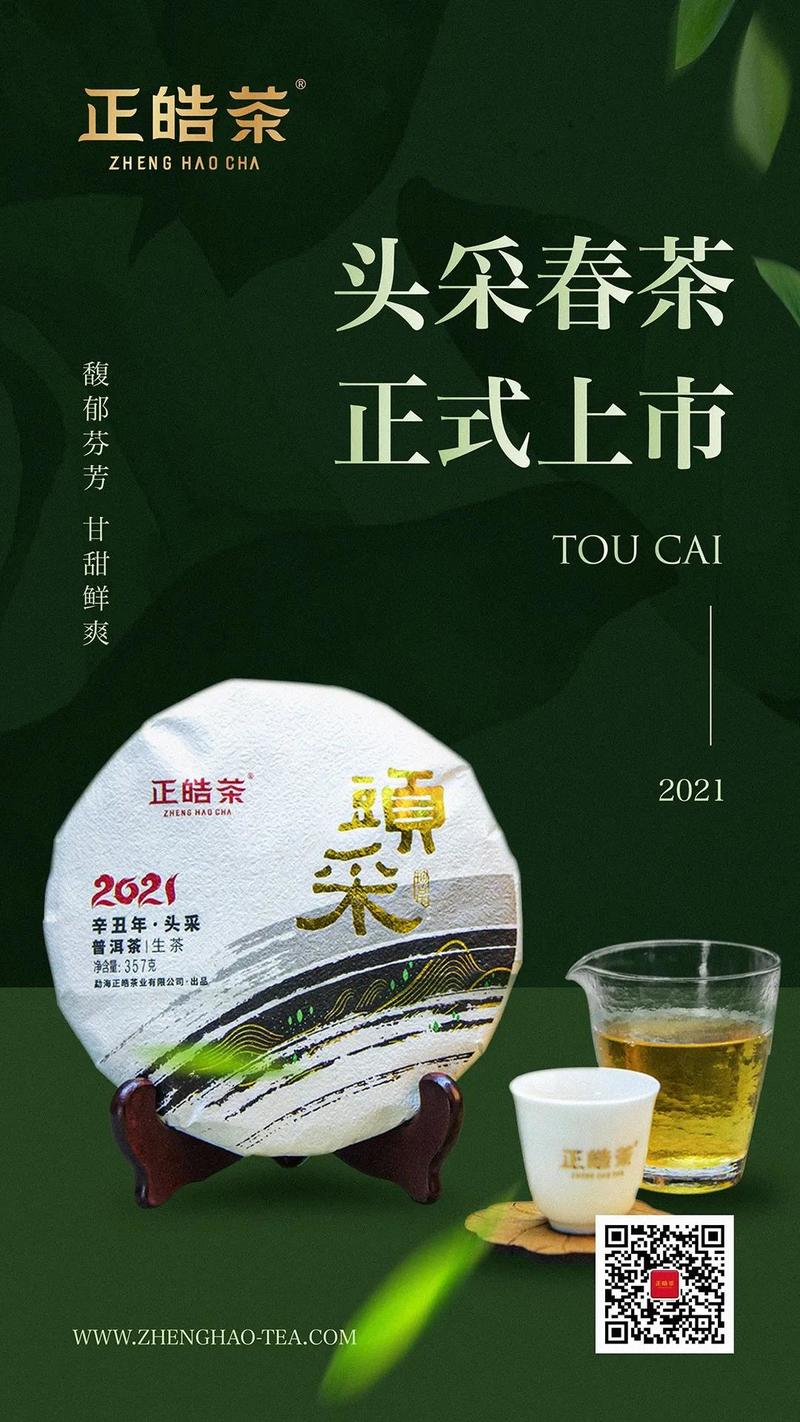 采頭春之精品，呈經(jīng)典之韻味丨正皓2021【頭采】正式上市