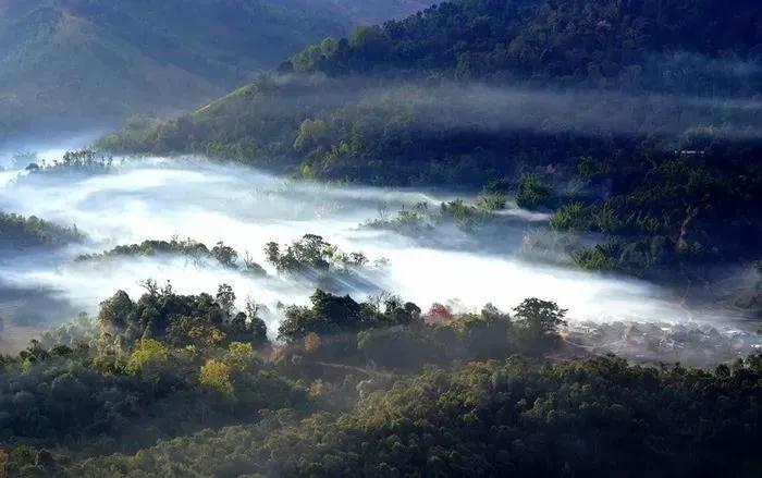 勐?？h布朗山鄉(xiāng)：守住綠水青山，才能有好茶山