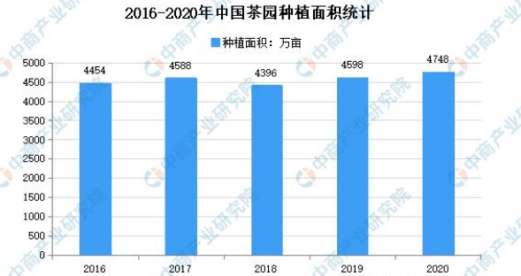 2021年中國茶產(chǎn)業(yè)市場(chǎng)現(xiàn)狀分析：茶園種植面積增長3.26%