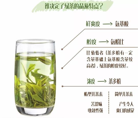 什么綠茶口味重口感濃郁，味道濃郁的綠茶哪種？