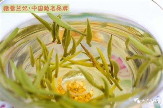 踏雪蘭妃茶價(jià)格，蘭妃茶葉多少錢一斤？