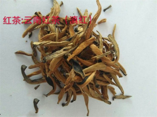 20種茶葉看圖認(rèn)茶，茶葉種類圖片對照