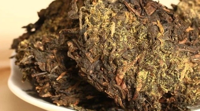 關(guān)于茶文化：茯磚茶里的“金花”能給茶帶來什么改變？