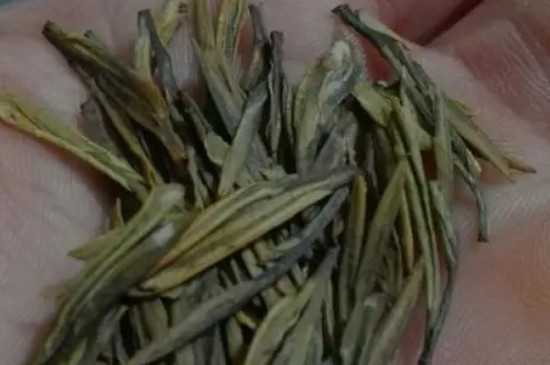 茅山白茶屬于什么茶，茅山白茶算是好茶嗎？