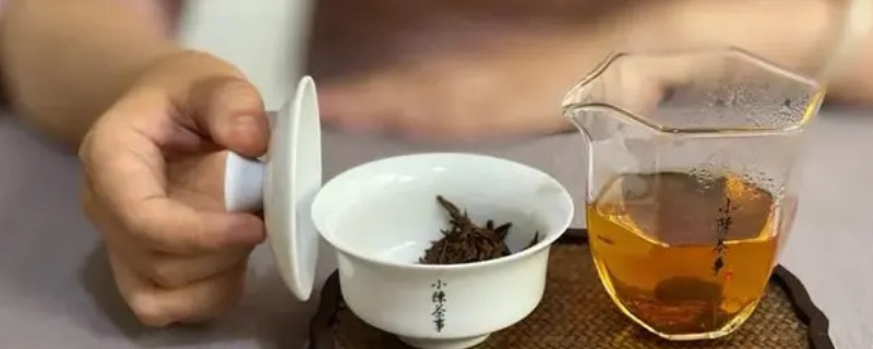 金駿眉投茶比例