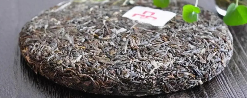 易武古樹茶是生茶還是熟茶