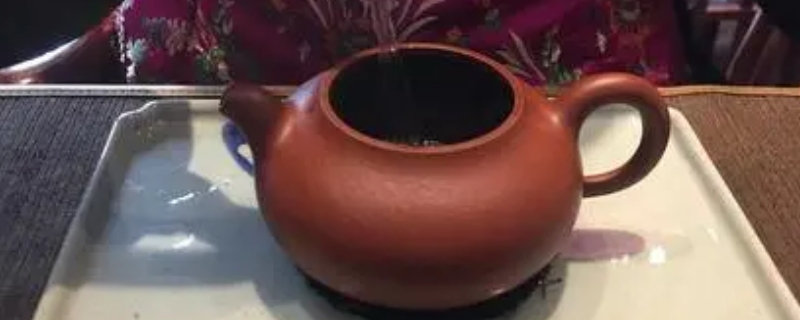 100cc紫砂壺泡什么茶