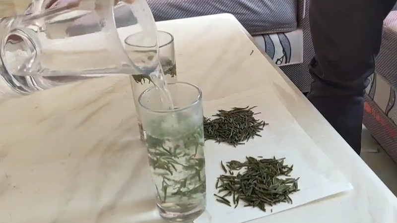 竹葉青茶用多少度水泡