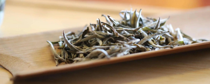 白茶屬于綠茶還是什么茶