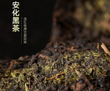 湖南安化黑茶有啥功效 堅持飲用湖南黑茶的作用與好處