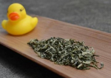 碧螺春多少度水泡茶好