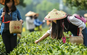 十大不可錯(cuò)過的茶旅勝地，你去過幾個(gè)