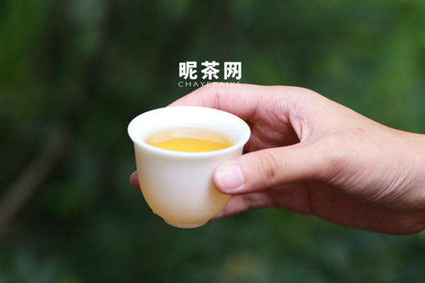 福鼎白茶餅怎么泡