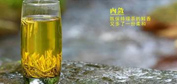 黃茶的正確沖泡方法。