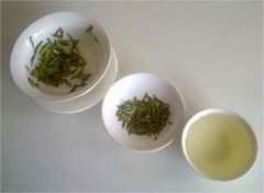 貢菊花茶的功效與作用 雛菊花茶的功效