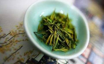 天山綠茶的功效與作用是什么