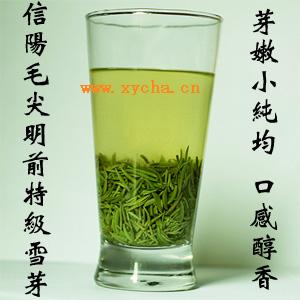 2011年信陽(yáng)毛尖明前茶特級(jí)貢品雪芽