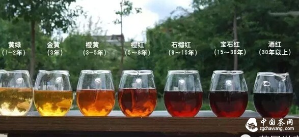 教你在最短時(shí)間內(nèi)成為品茶高手!