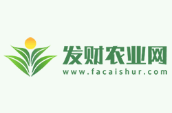 在北方栽植梔子花，為什么葉片易發(fā)黃