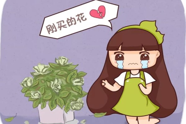 入秋別買這5種花，回家3天花苞全掉，再便宜都虧！