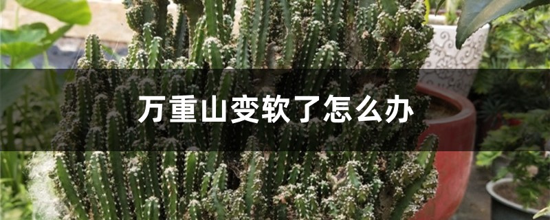 萬重山變軟了怎么辦