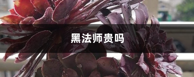 黑法師貴嗎