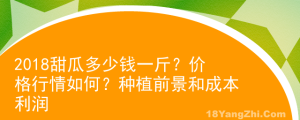 2018甜瓜多少錢一斤？價格行情如何？種植前景和成本利潤