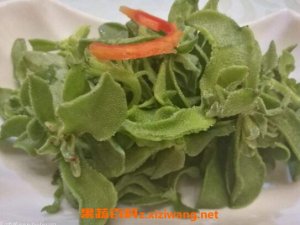 冰菜圖片 冰菜的功效與作用