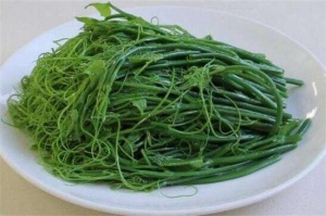 龍須菜是什么菜，野生名菜且營養(yǎng)價值高