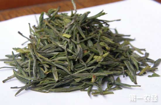 黃茶是不是綠茶？黃茶的品質(zhì)特征