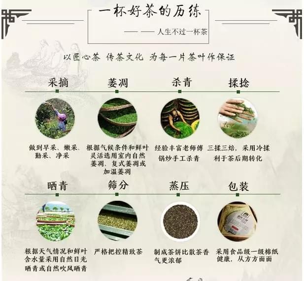 為什么古樹普洱茶的價(jià)格越來越高了？