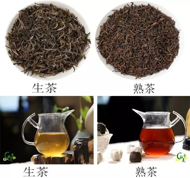 茶農(nóng)在線免費(fèi)教你辨別普洱茶