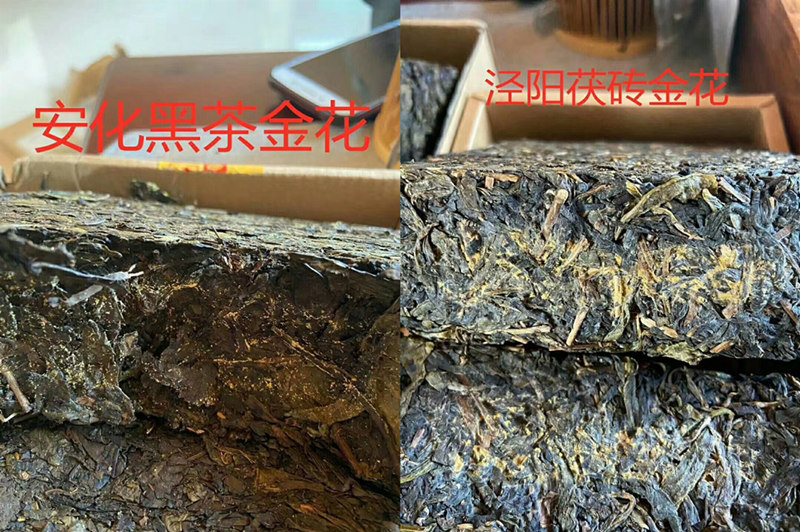 哪里可以買到正宗涇陽的高品質茯茶