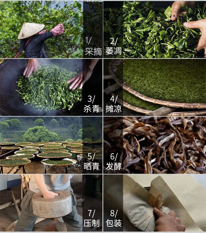 普洱網(wǎng)_傳統(tǒng)手工制作普洱茶，讓你何處一杯好茶