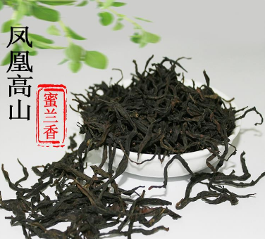 鳳凰單叢茶的功效和禁忌 