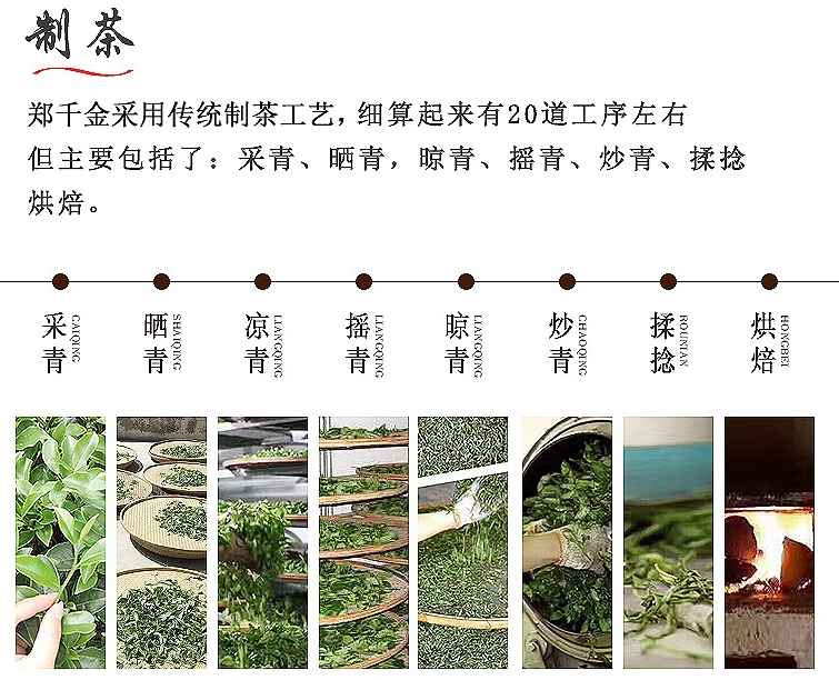 鳳凰單叢茶如何種植？有什么加工工藝？（收藏）