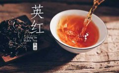 正宗英紅九號價(jià)格要多少 如何辨別英紅九