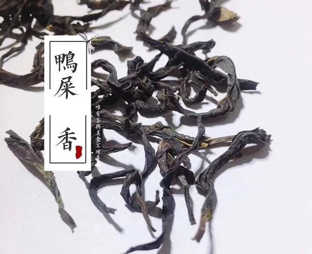 在廣東潮州，有一種茶叫“鴨屎香”