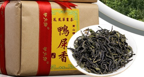 茶中的奇葩，為何叫做鴨屎香茶？