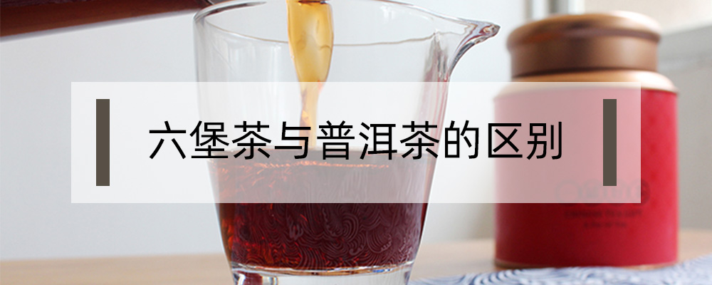 六堡茶與普洱茶的區(qū)別？