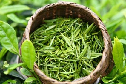 【綠茶】綠茶過(guò)期2年但沒(méi)開(kāi)封