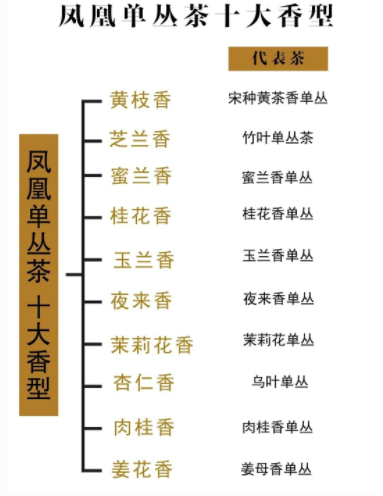 鳳凰單叢茶十大香型詳解大全