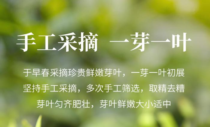 【綠茶】信陽毛尖哪個時間的好？