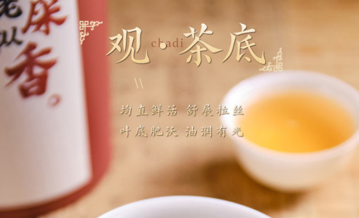 喝鳳凰單叢茶的功效與禁忌？